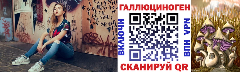 Псилоцибиновые грибы MAGIC MUSHROOMS  Катайск 